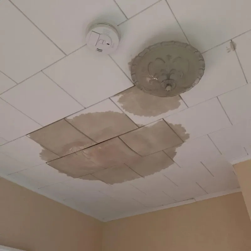Ceiling Water Damage Repair in Pembroke, VA