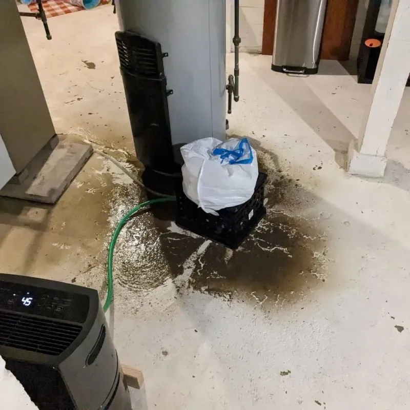 Sewage Backup Cleanup Service in Pembroke, VA